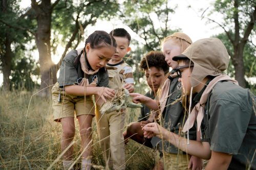 Family-Friendly Uganda Wildlife Safari – Educational & Adventure Experience (6–9 Days)